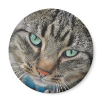 Leo the Kitten magnets by diygems Leo the Kitten magnets