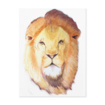 Leo the Lion postcards by Sumariel Leo the Lion postcards