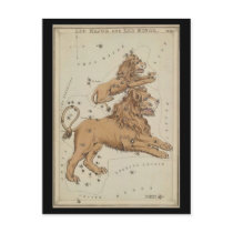 Leo the Lion postcards