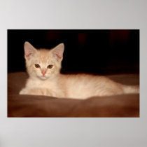 Leo the Lion Poster