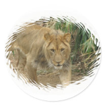 Leo the Lion Sticker