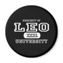 Leo University Dark magnets