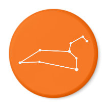 Leo Zodiac Magnet magnets