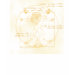 Ladies Baby Doll (Fitted)