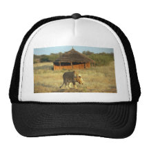 Leona en Namibia África Gorro De Camionero