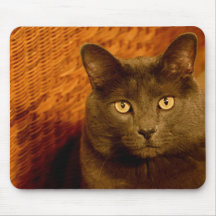 Leonard Mousepad