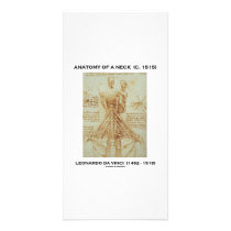 Leonardo da Vinci Anatomy Of A Neck (Drawing) photo cards