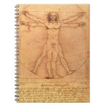 Leonardo Da Vinci Anatomy Study of human body notebooks