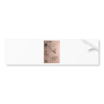 Leonardo da Vinci, drawings of machines Bumper Sticker