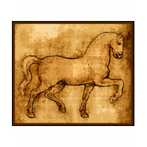 Leonardo Da Vinci Horse Art t-shirts