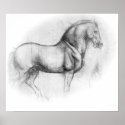 Leonardo DaVinci Horse poster posters