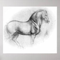 Leonardo DaVinci Horse poster