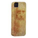 Leonardo casemate cases