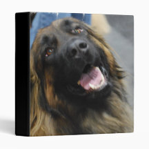 Leonberger Dog Breed Binder