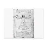 Leondardo Da Vinci Proportion Man Post Card