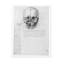 Leondardo Da Vinci Skull 002 Post Cards