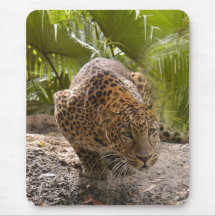 Leopard 8x10 Mousepad