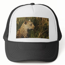 Leopard (alert & sitting up) wild animal hats by Rowood Leopard (alert & sitting up) wild animal hats