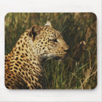 Leopard (alert & sitting up) wild animal mousepads by Rowood Leopard (alert & sitting up) wild animal mousepads