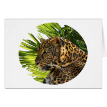 LEOPARD AND PALMS CARDS