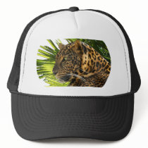 LEOPARD AND PALMS hats