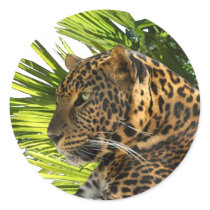 LEOPARD AND PALMS stickers by NORTHWOODSWILDLIFE LEOPARD AND PALMS stickers