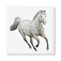 Leopard Appaloosa Horse Magnet Square