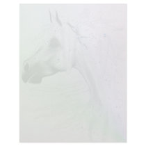 Leopard Appy and White Feathers Letterhead by Lot_O_Horses Leopard Appy and White Feathers Letterhead