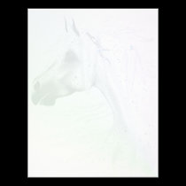 Leopard Appy and White Feathers Letterhead letterhead