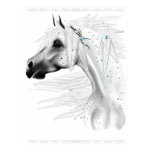 Leopard Appy and White Feathers Poster Leopard Appy and White Feathers Poster