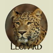 leopard art
