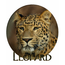 leopard art t-shirts by WildByDezign leopard art t-shirts