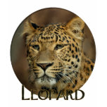 leopard art shirts