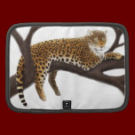 Leopard at Rest Rickshaw Folio rickshaw folios