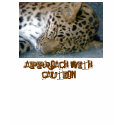 Leopard Attitude Distressed Tee for Women t-shirts