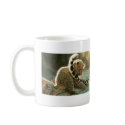 leopard-baby mugs by countrybelle2004 leopard-baby mugs