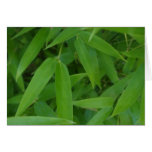 Leopard Bamboo Card