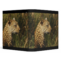 Leopard binders & albums by Rowood Leopard binders & albums