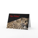 Leopard Birthday Card