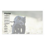 Leopard-black phase-cub business cards
