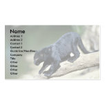 Leopard-black phase-cub business cards