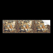 Leopard bumper stickers