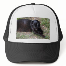 Leopard Cap Trucker Hat