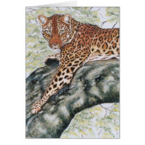 "Leopard" cards by paintonmypaws "Leopard" cards