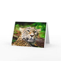 Leopard Greeting Card