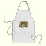 Leopard-Cat, Felis bengalensis aprons