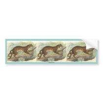 Leopard-Cat, Felis bengalensis Bumper Sticker