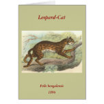 Leopard-Cat, Felis bengalensis cards