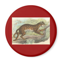 Leopard-Cat, Felis bengalensis Magnet