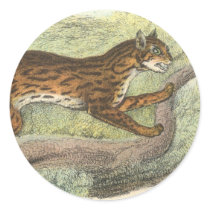 Leopard-Cat, Felis bengalensis Sticker